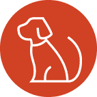 Pet relief area